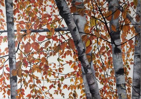 < BIRKEN_im_HERBST >